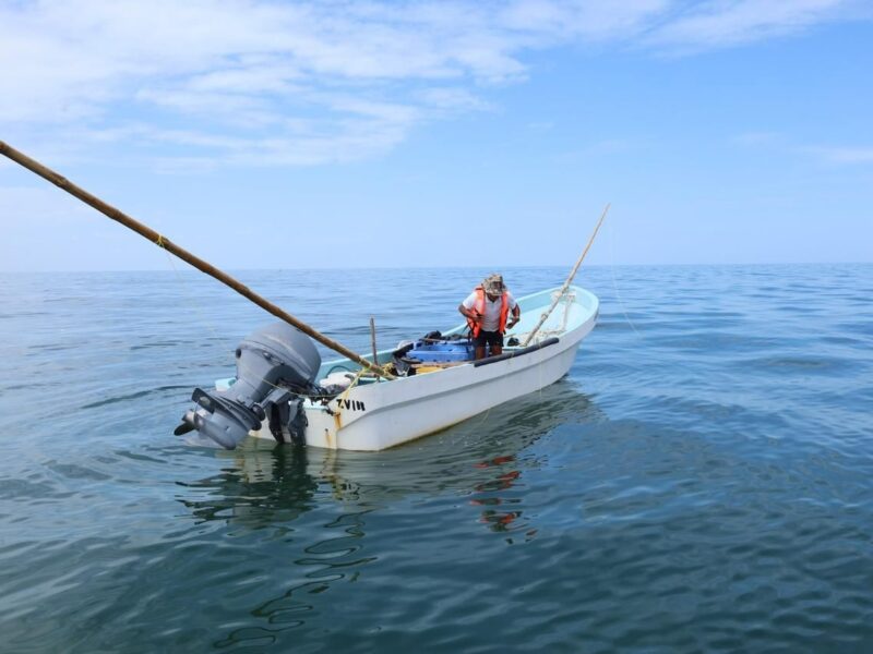 Entregarán apoyos económicos a pescadores de Yucatán ¿En qué consiste?
