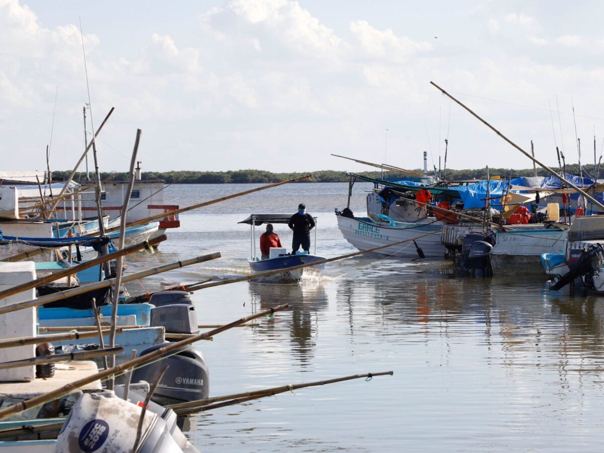 Sector pesquero de Yucatán inicia temporada de captura de langosta
