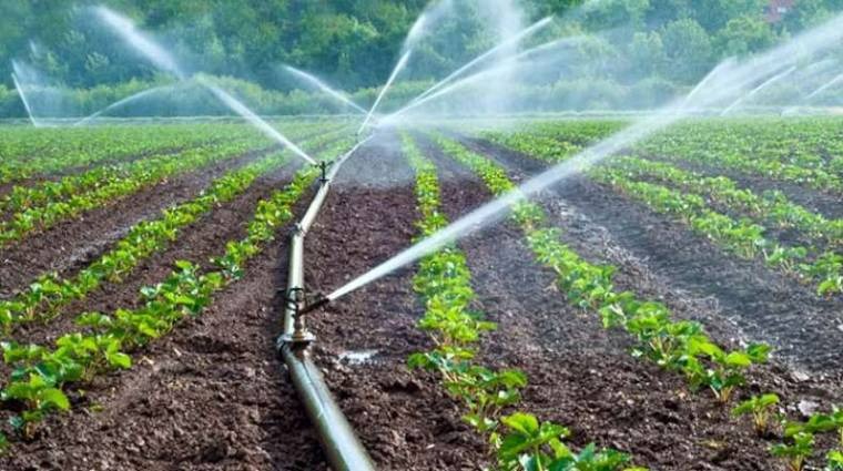 Amplían registro al PEUA 2026: Productores pueden inscribirse hasta abril