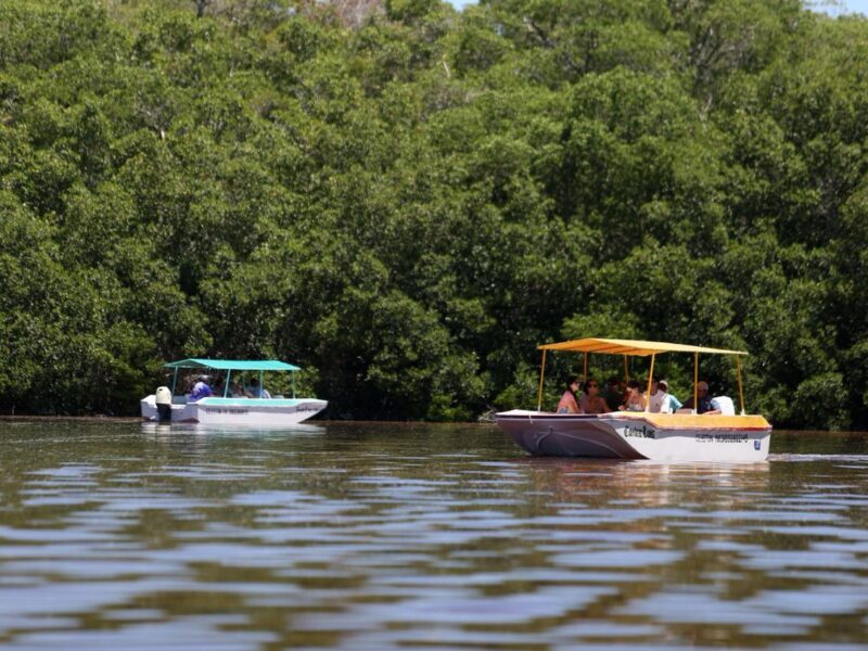 De Chichén Itzá a Celestún: el recorrido turístico más visitado de Yucatán