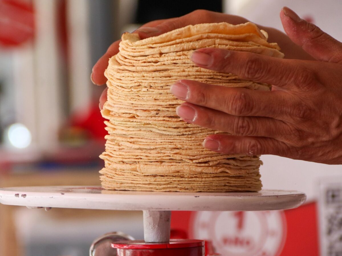 ¿Por qué no pueden vender tortillas en hieleras? Profeco advierte multas millonarias