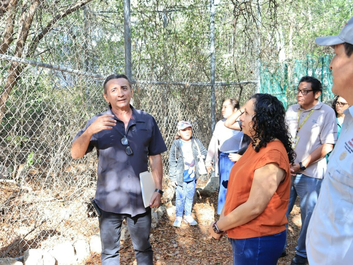 Parque Yumtsil tendrá unidad para rescate y rehabilitación de aves