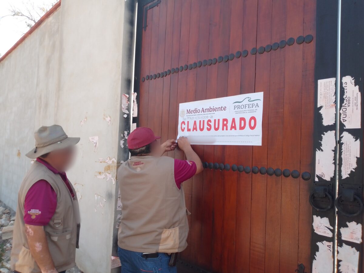 Operativos simultáneos en la reserva Cuxtal