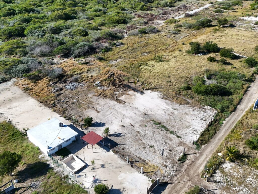 Profepa refuerza clausuras en manglares de Chelem