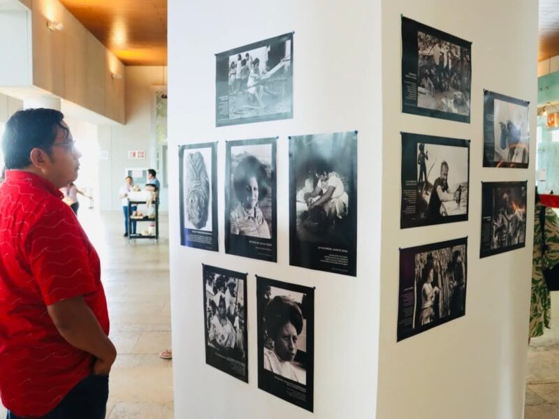 El oro verde de Yucatán protagoniza muestra itinerante en el GMMM