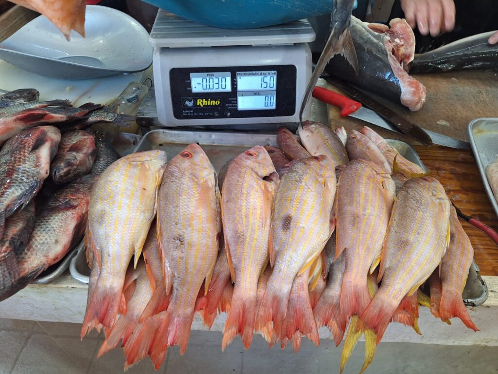 El impacto de la Cuaresma en el consumo de pescados y mariscos