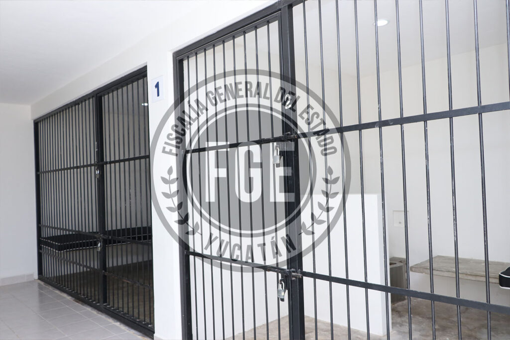 FGR vincula a proceso a nueve detenidos con drogas en Progreso, Yucatán