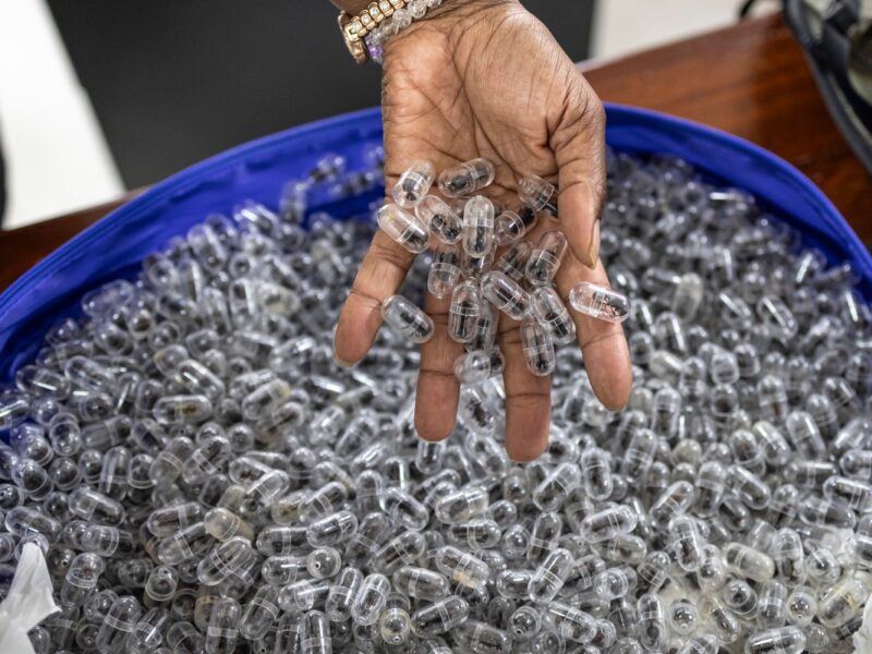 Detienen en Kenia a dos hombres por contrabando de miles de hormigas hacia China