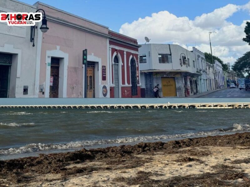 De Mérida a Progreso, un viaje que sabe a mar