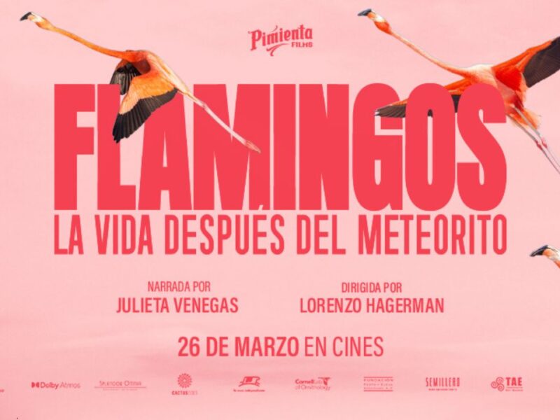 "Flamingos, la vida después del meteorito" llega a cines el 26 de marzo 