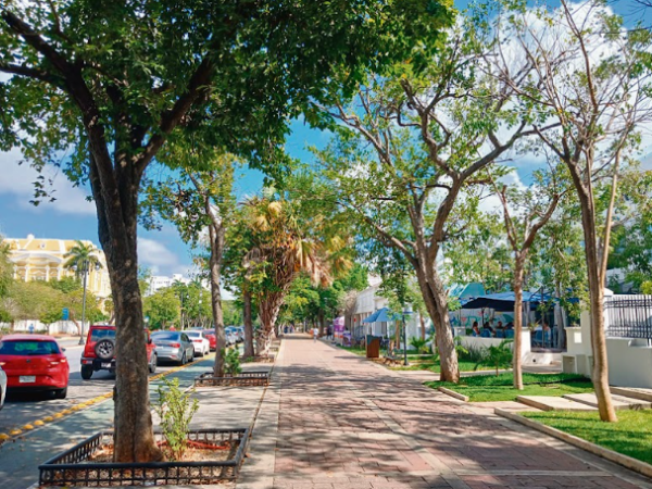 Paseo de Montejo vive auge comercial
