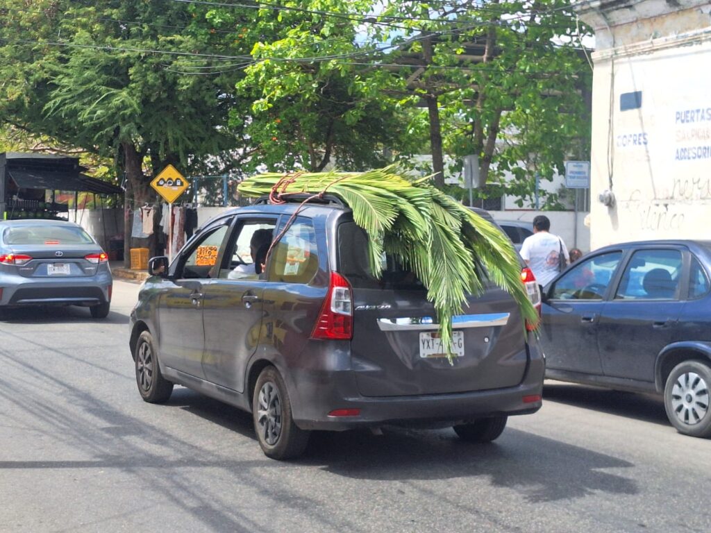 Fieles recorren el centro de Mérida en el Domingo de Ramos