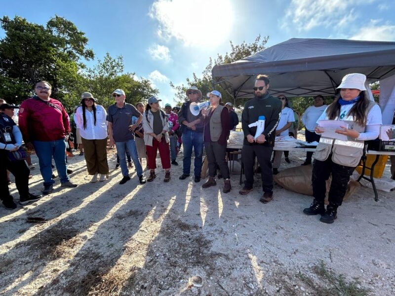 Limpieza interestatal en Celestún retira más de 700 kilos de basura
