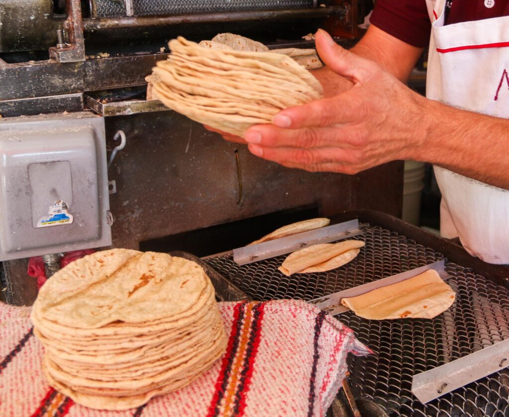 ¿Subirá la tortilla en Yucatán? Esto es lo que pasará con su precio