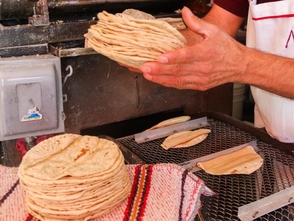 ¿Subirá la tortilla en Yucatán? Esto es lo que pasará con su precio