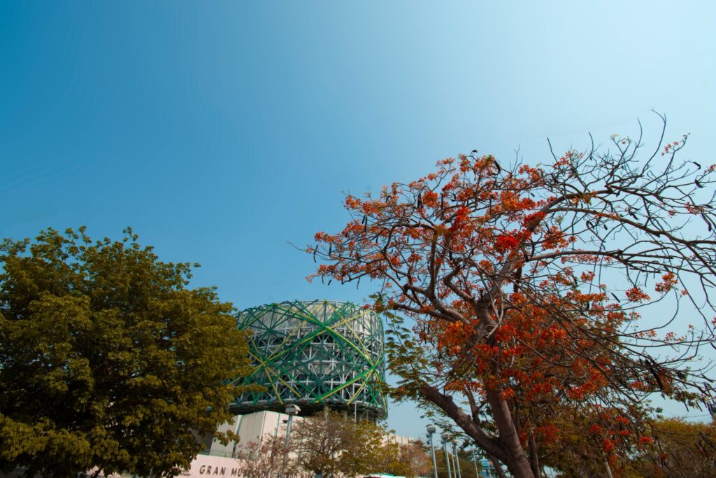Museo Maya ofrece cultura en vacaciones