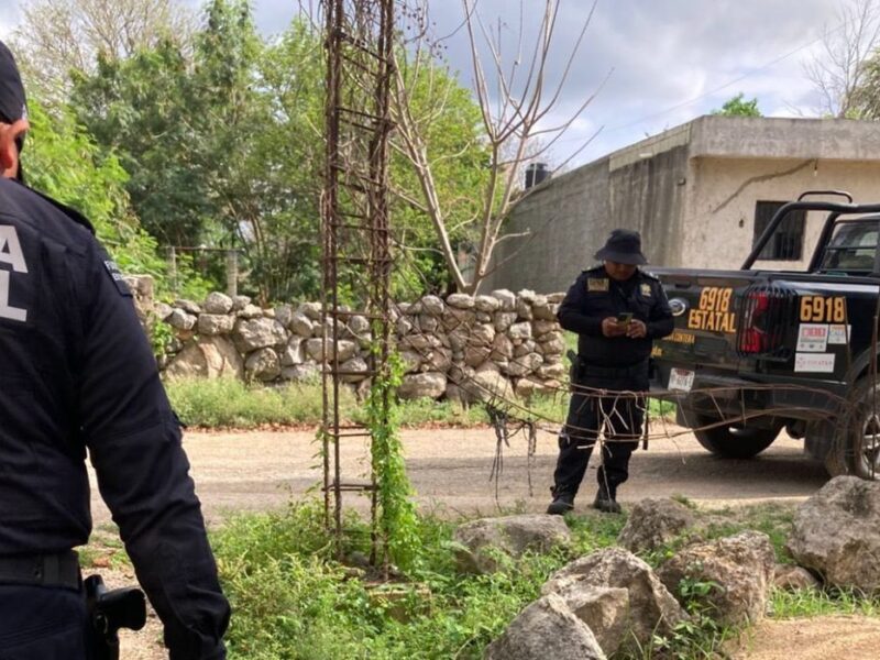 Crueldad animal en Motul: denuncian violento caso en Kaxatah