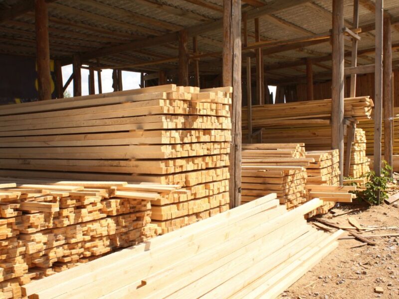 La industria maderera en Yucatán inicia su modernización tecnológica