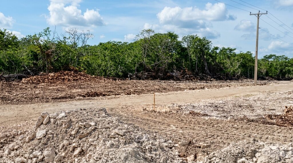 Habitantes de Tzemé denuncian reactivación de megagranja