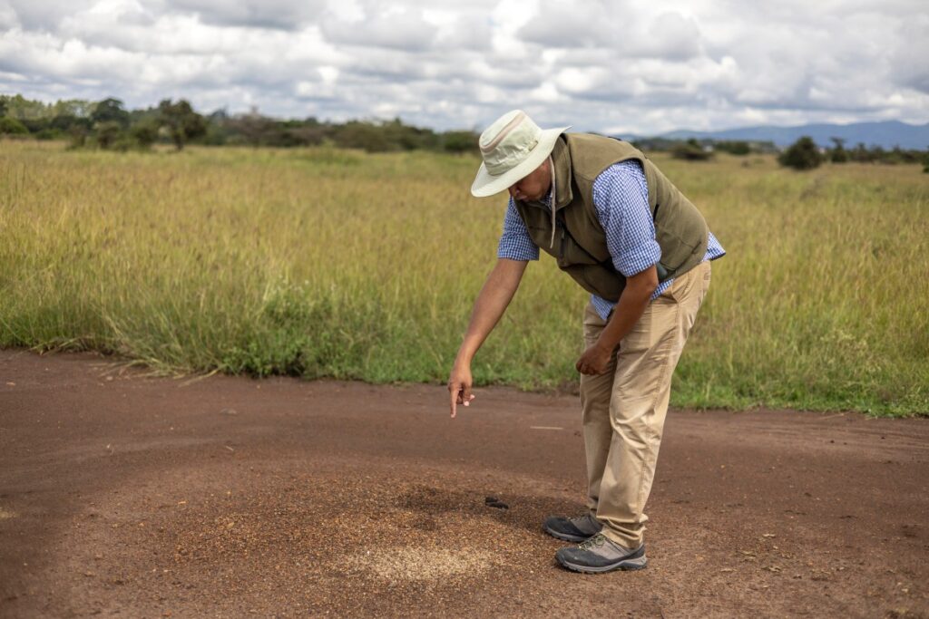 El insólito caso de biopiratería que sacude a Kenia