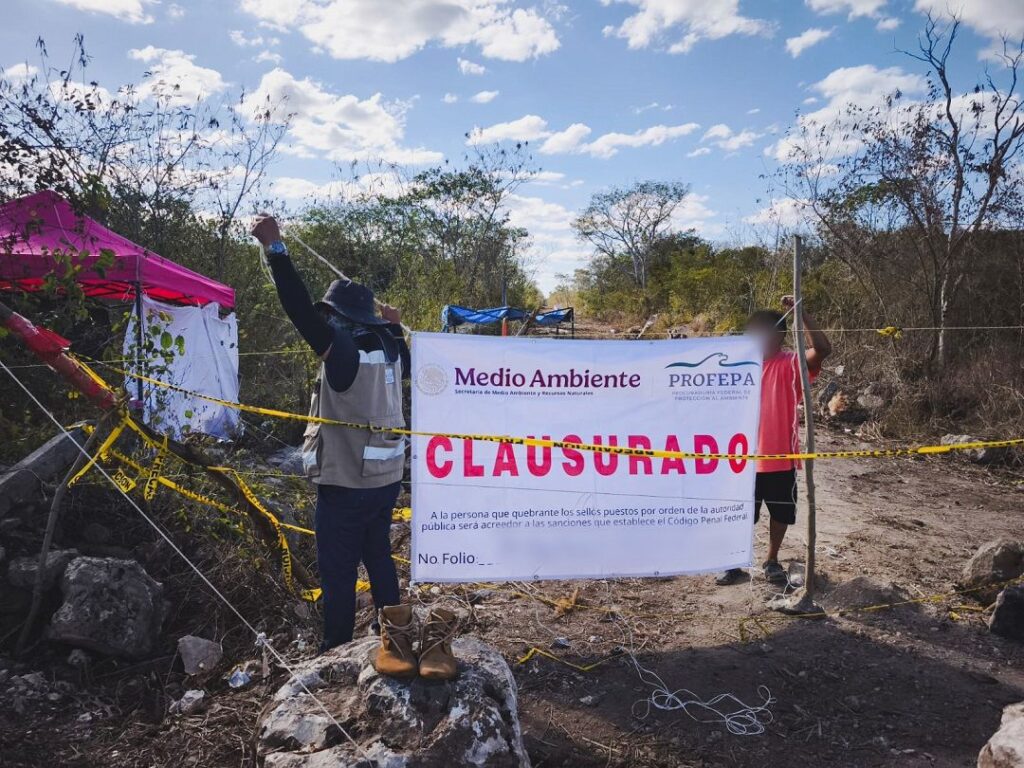Profepa clausura actividades ilegales en terrenos forestales de Yaxcopoil