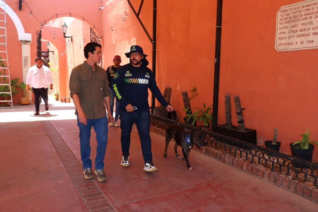 Multas de hasta 50 mil pesos por pasear perros sin correa