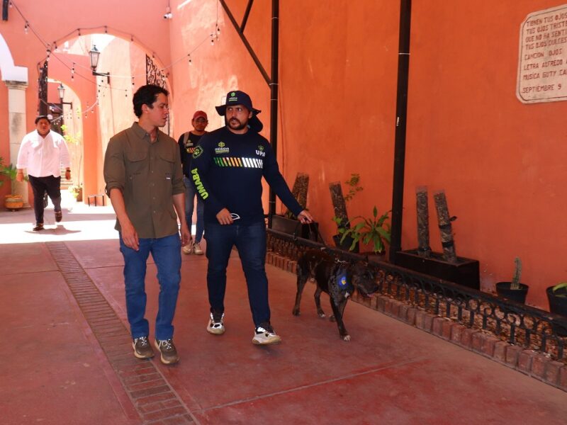 Multas de hasta 50 mil pesos por pasear perros sin correa