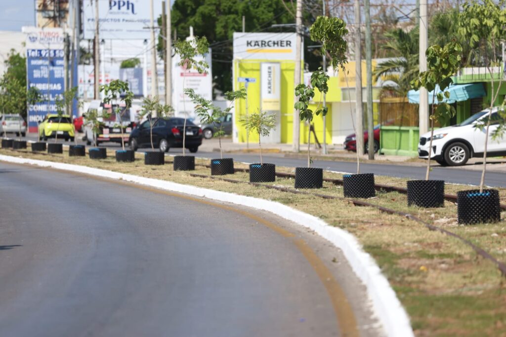 Ayuntamiento impulsa reforestación con tecnología Air Pot en Mérida