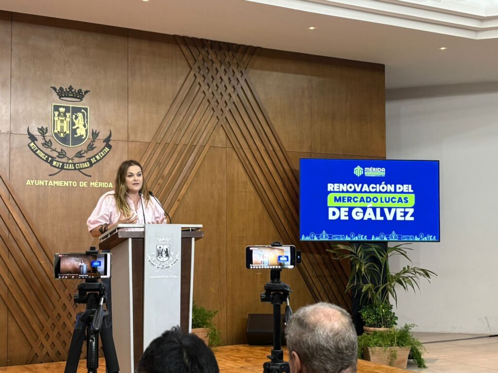 Cecilia Patrón anuncia sanción por tala de maculís en Cholul