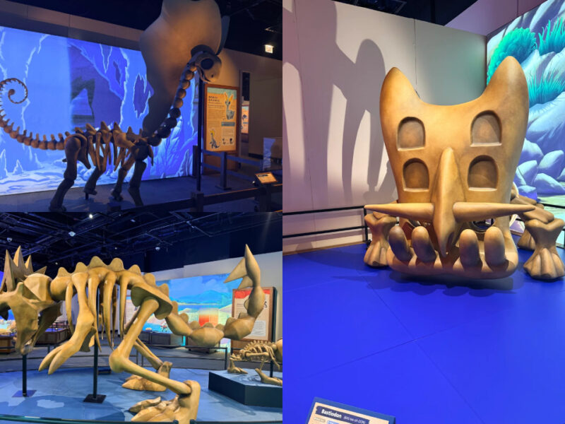 Field Museum de Chicago albergará la exposición Pokémon Fossil Museum