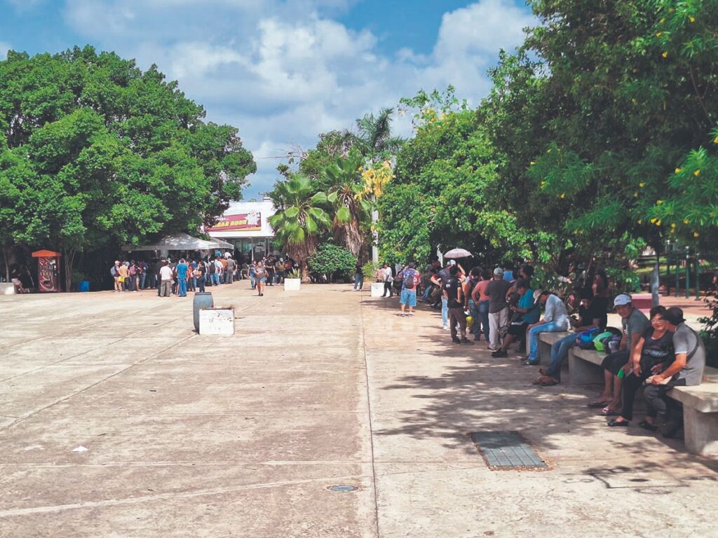 Largas filas marcan el último día del reemplacamiento en Yucatán