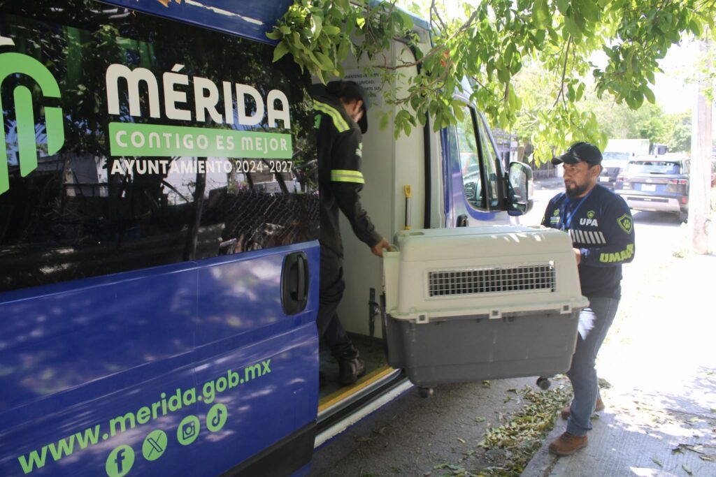 UMABA captura tres perros vinculados al ataque en el  Centenario