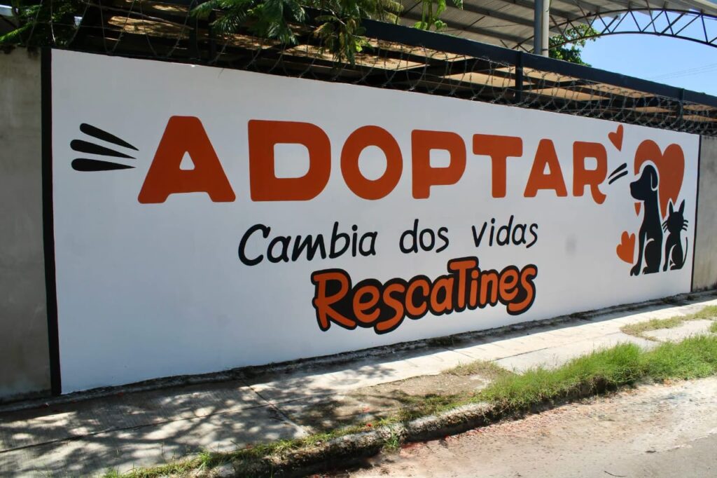 Mérida promueve la adopción responsable con la primera Barda de la Empatía