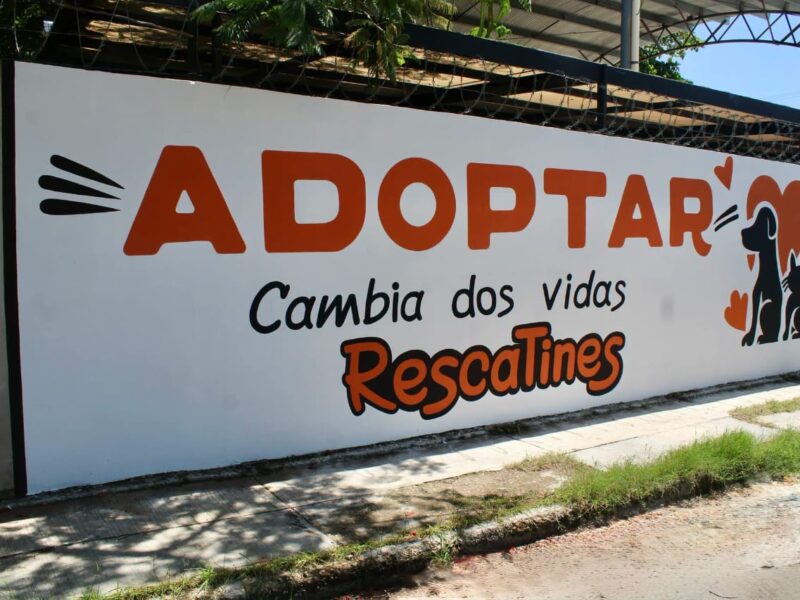 Mérida promueve la adopción responsable con la primera Barda de la Empatía