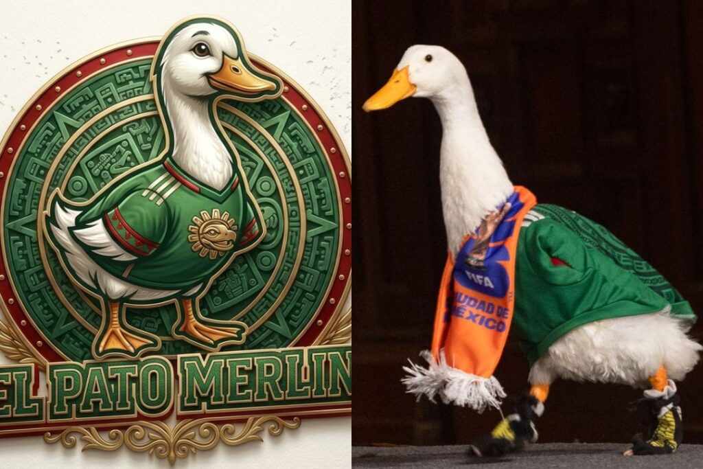 Persona radicada en Mérida se adelanta y registra al Pato Merlín ante IMPI