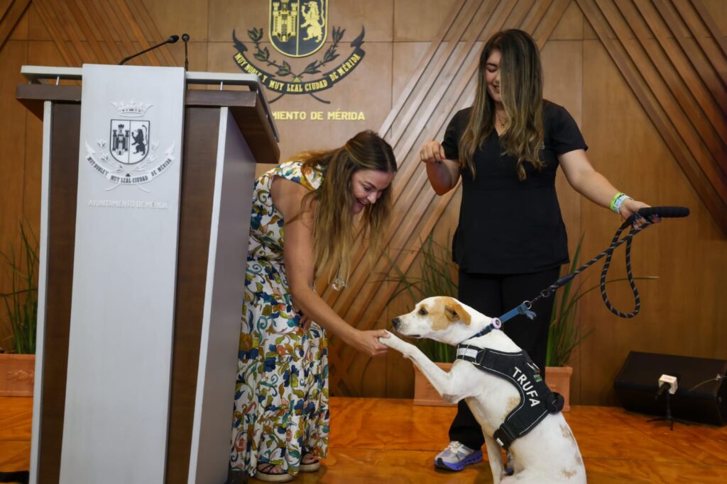 Mérida impulsa jornadas de adopción y bienestar animal