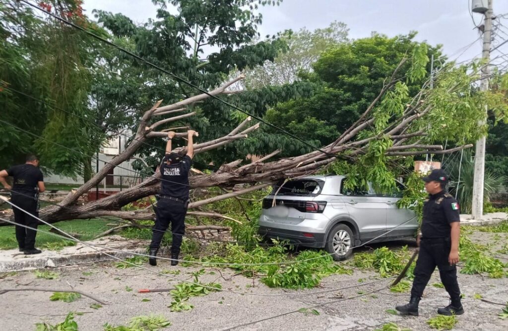 Yucatán registra más de 700 reportes de cables caídos durante el año