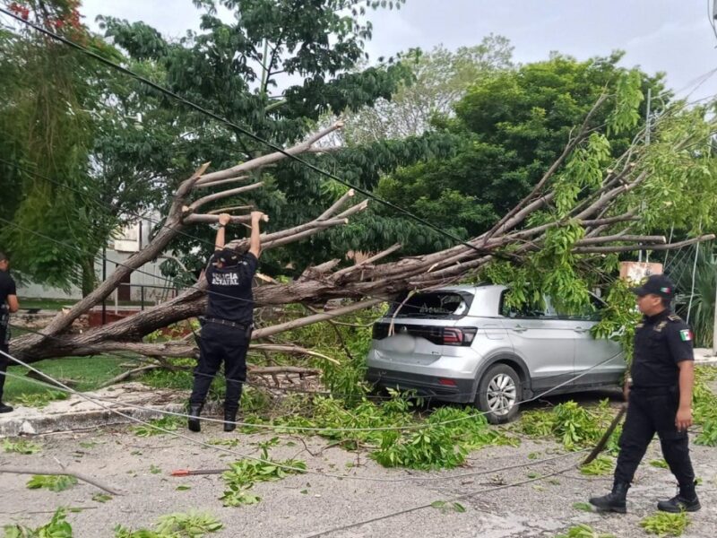 Yucatán registra más de 700 reportes de cables caídos durante el año