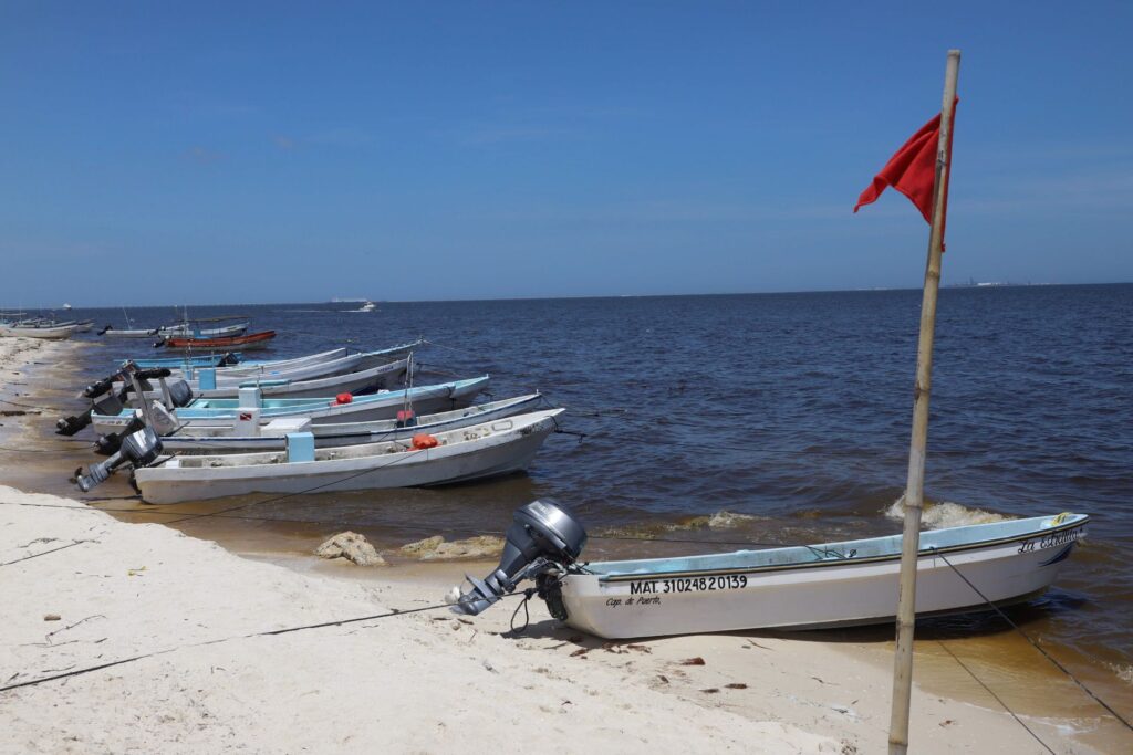 Monitoreos no detectan marea roja en playas de Yucatán