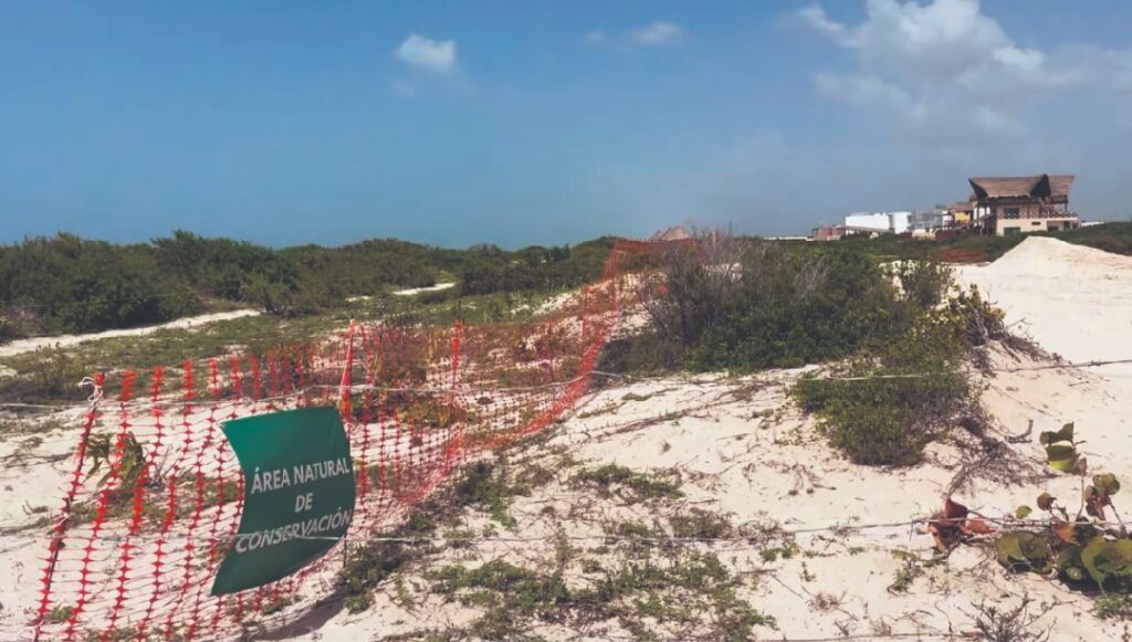 Erosión costera avanza y afecta playas de Chuburná, Sisal y Telchac
