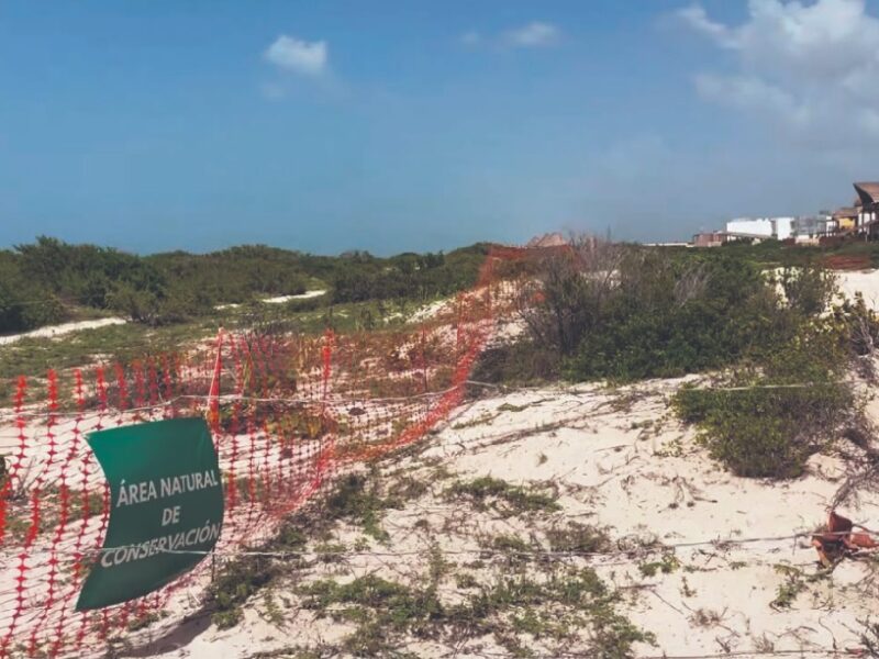 Erosión costera avanza y afecta playas de Chuburná, Sisal y Telchac